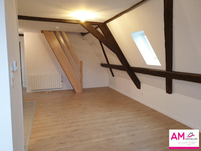 Appartement - 55 m² - 2 pièces