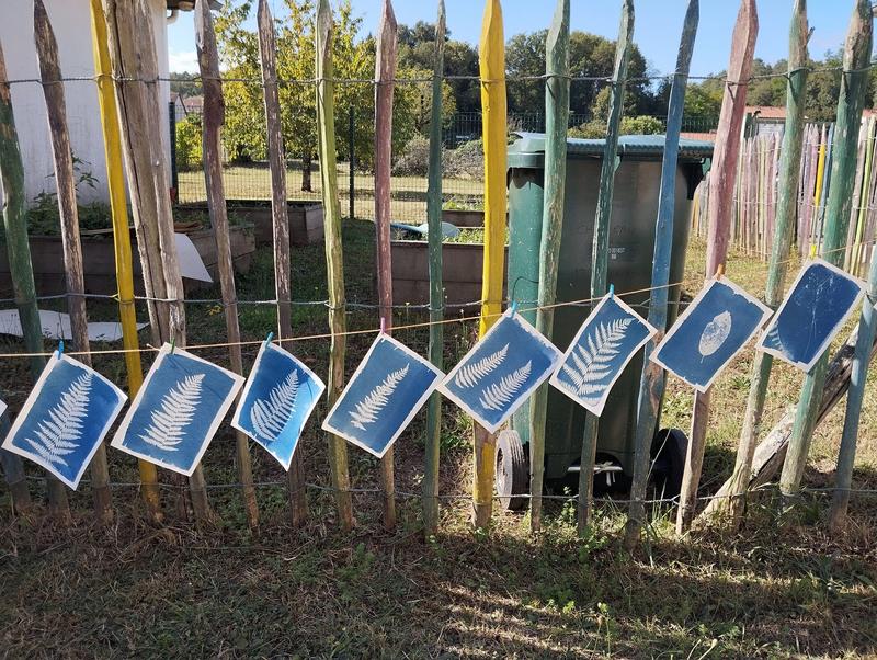 Atelier cyanotype sur papier