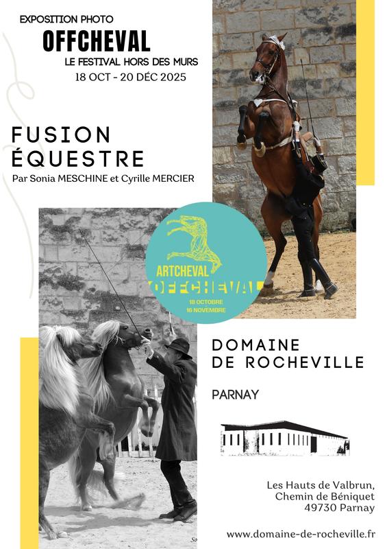 Exposition &quot;Fusion Equestre&quot; au Domaine de Rocheville