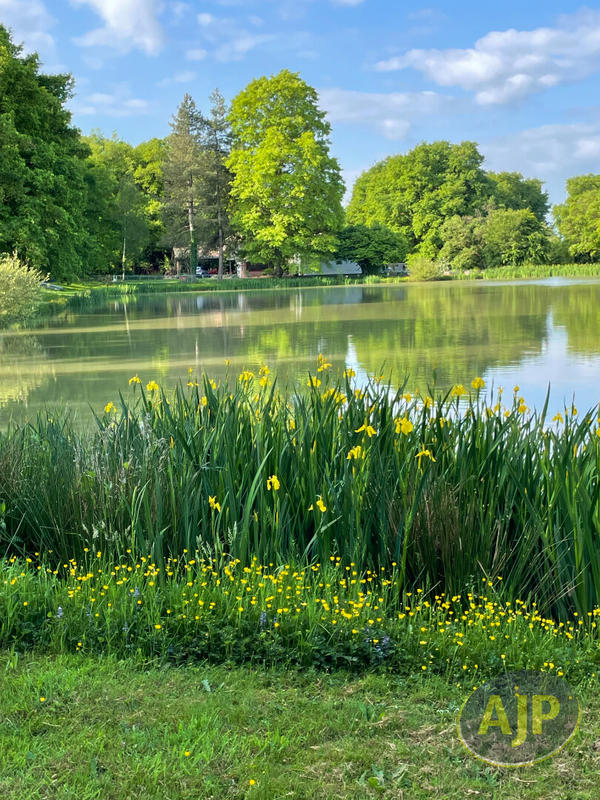 Maison - 180 m² - 6 pièces