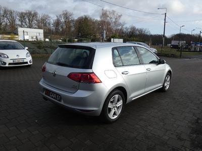 Volkswagen Golf 1.6 Tdi 105 BlueMotion Technology Fap 4Motion Confortline