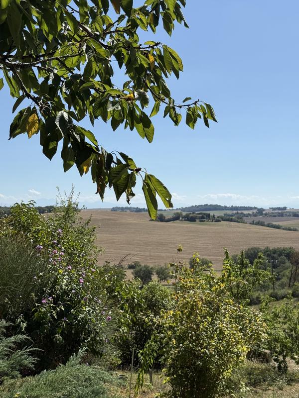 Terrain constructible - 1 300 m²