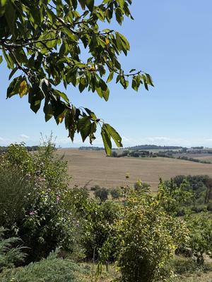 Terrain constructible - 1 300 m²