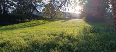 Terrain constructible - 1 823 m²