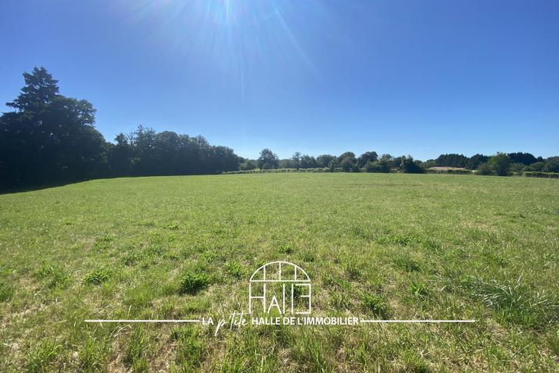 Terrain - 13 959 m²