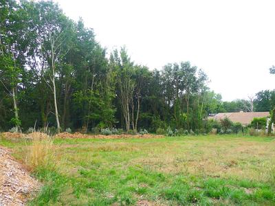 Terrain - 650 m²