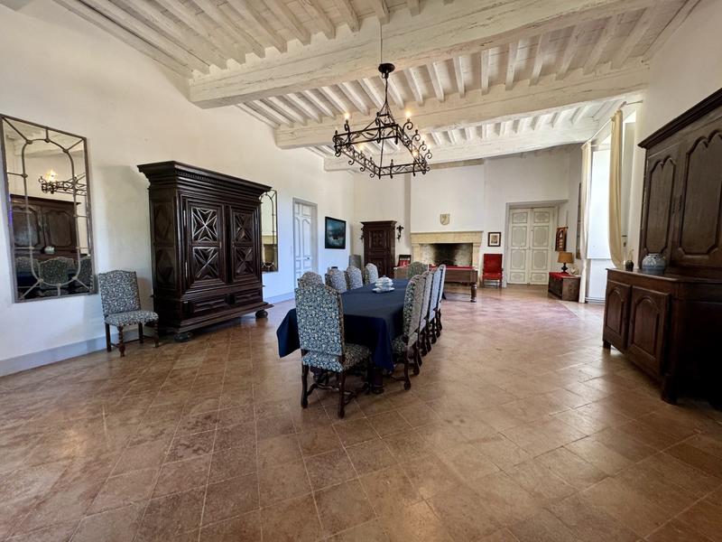 Château - 280 m² - 13 pièces