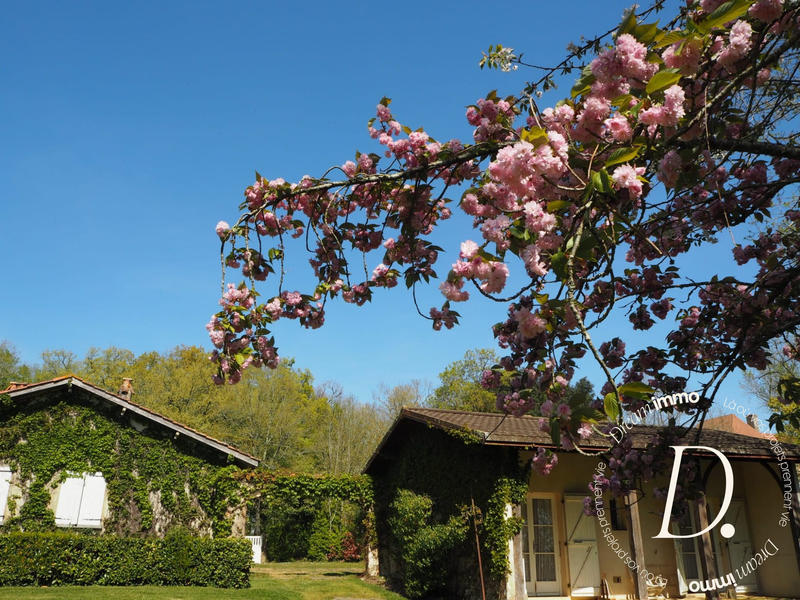 Maison - 420 m² - 11 pièces