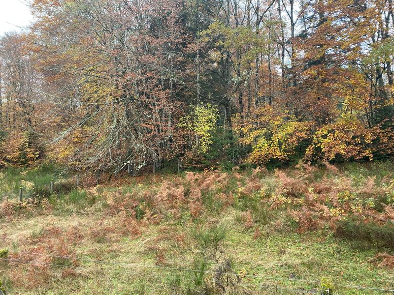 Maison - 99 m² - 4 pièces