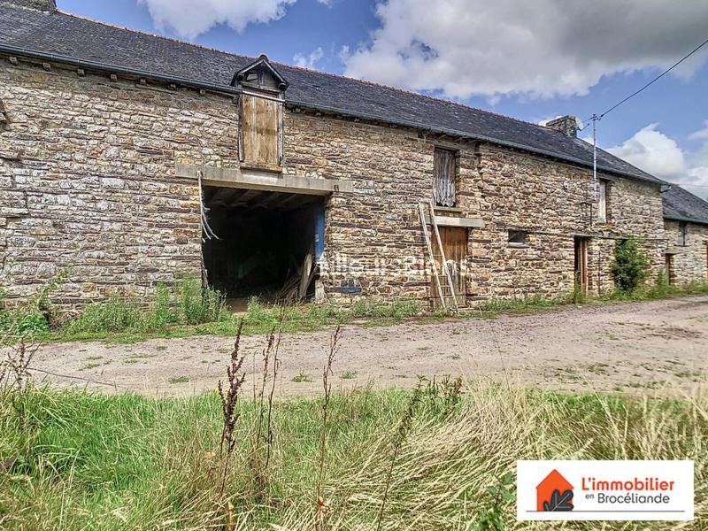 Longère - 250 m² - 5 pièces