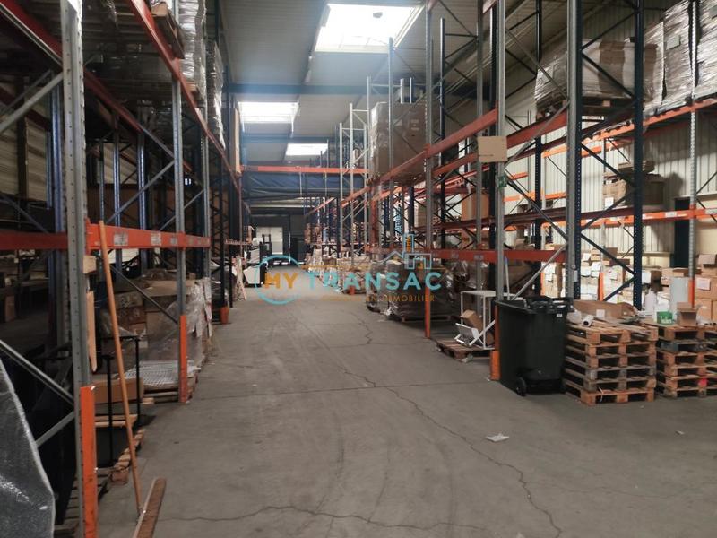 Local d'activité / Entrepôt - 3 699 m²