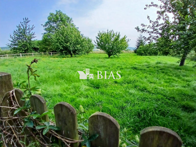 Maison traditionnelle - 194 m² - 7 pièces