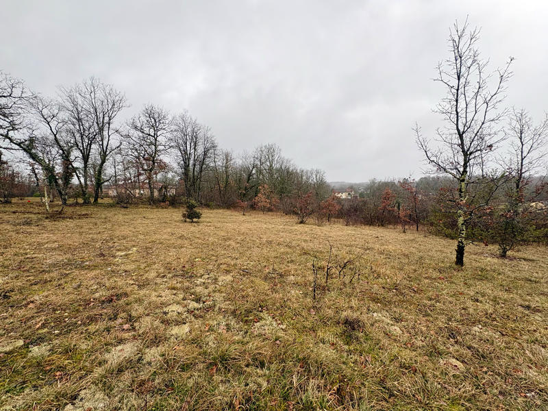Terrain - 3 123 m²