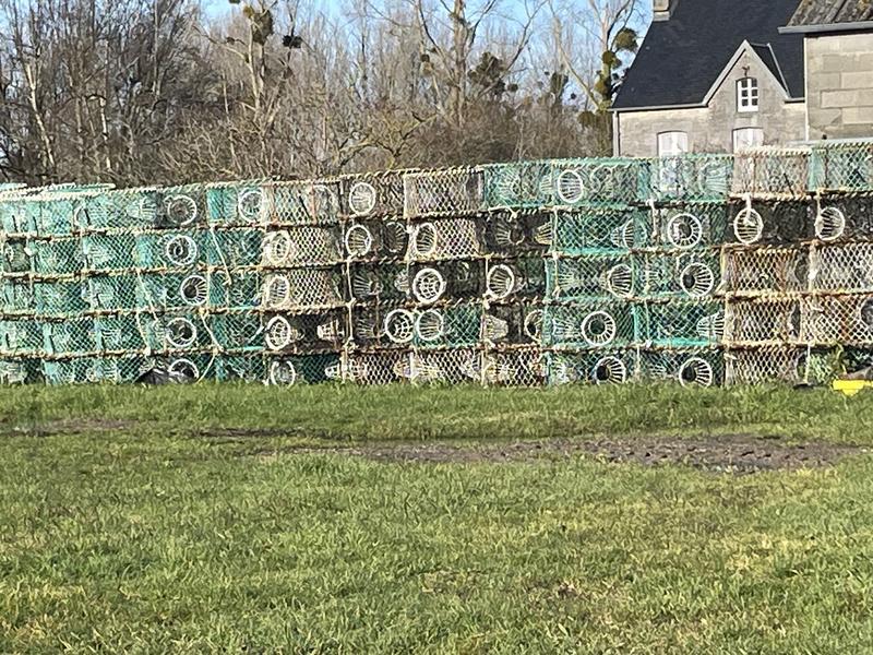 Concours photo amateurs : la vie à Tourneville-sur-mer, ses habitats, ses habitants, ses milieux