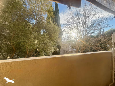 Appartement - 34 m² - 1 pièce