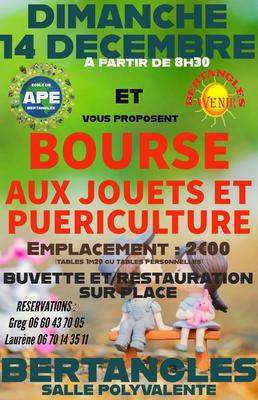 Bourse aux jouets de bertangles