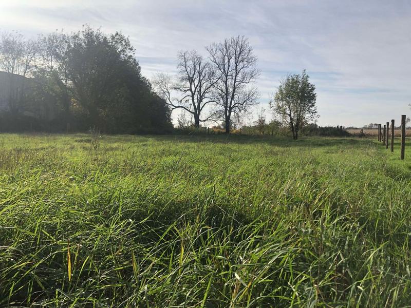 Maison en pierre - 314 m² - 6 pièces