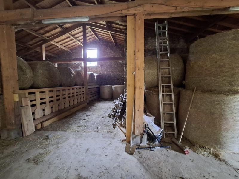 Maison ancienne - 300 m² - 7 pièces