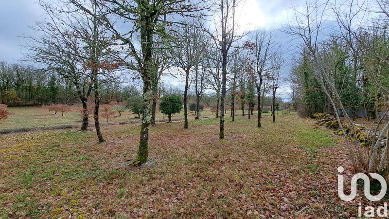 Terrain - 11 755 m²