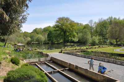 Pisciculture le Moulin du Châtain