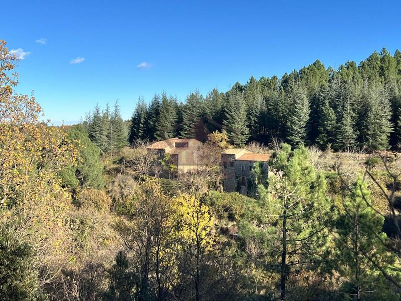 Maison provençale - 140 m² - 7 pièces