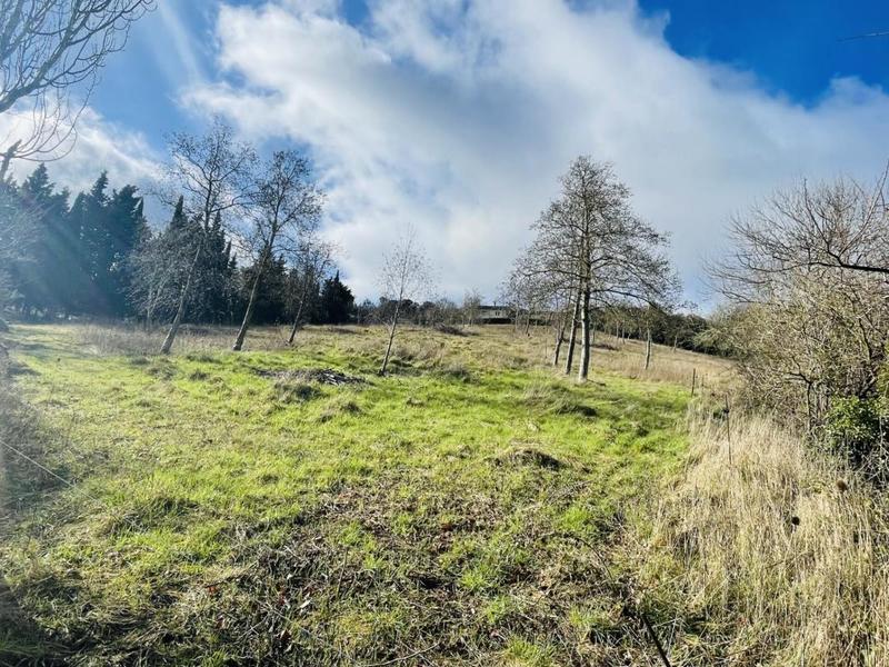 Terrain constructible - 8 000 m²