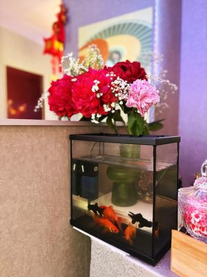 Salon Beauté Iris 75015