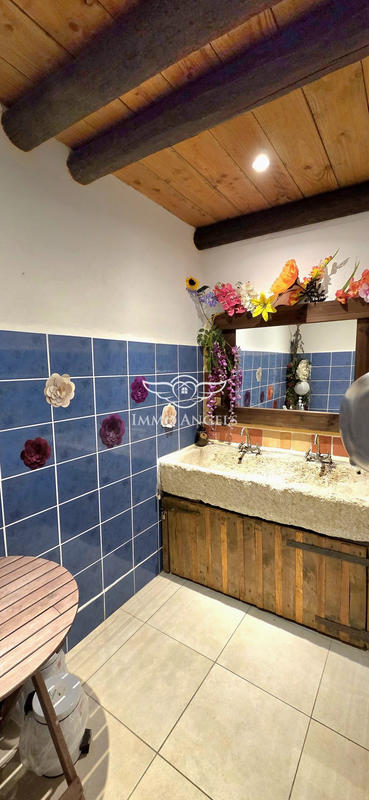 Mas - 240 m² - 13 pièces