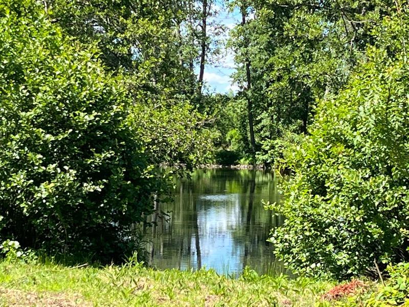 Propriété - 85 m² - 4 pièces