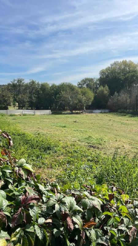 Terrain constructible - 1 388 m²