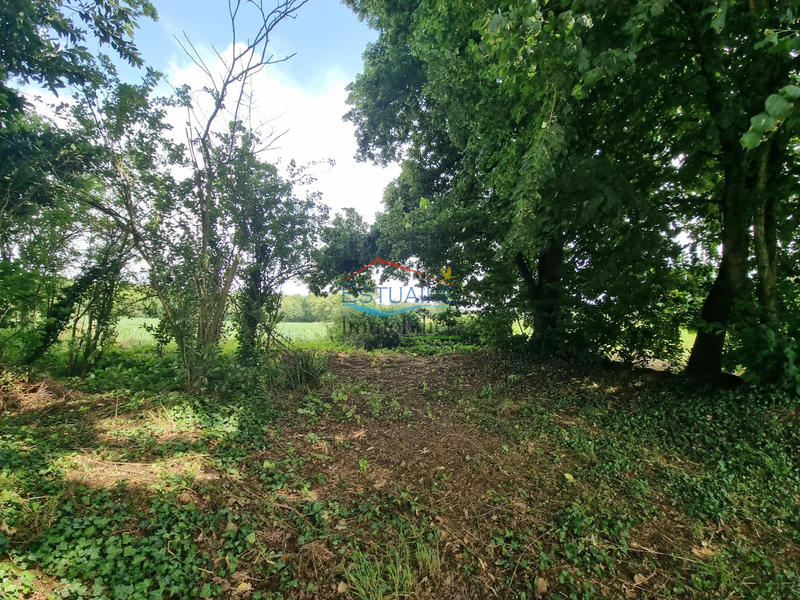 Maison - 149 m² - 6 pièces