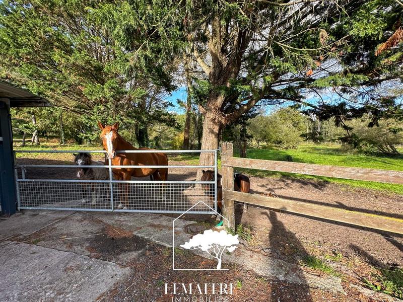 Maison traditionnelle - 118 m² - 5 pièces