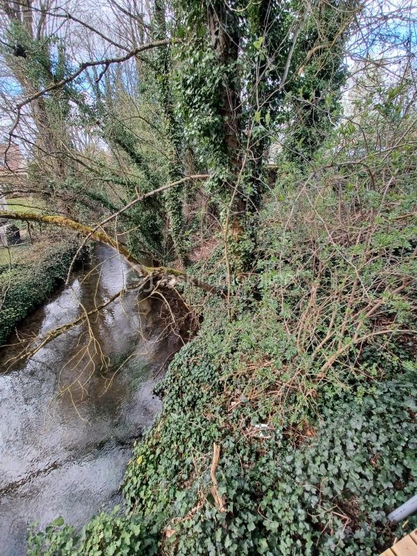 Maison - 40 m² - 2 pièces