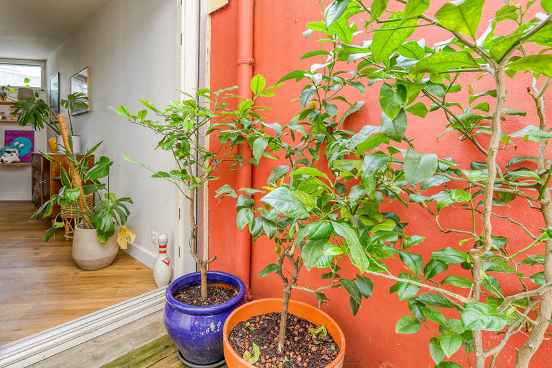 Appartement - 75 m² - 3 pièces