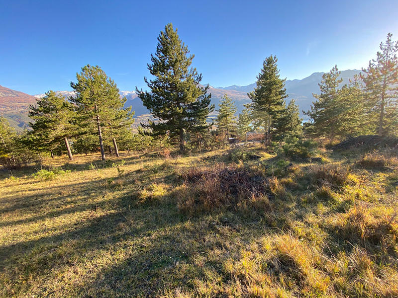 Terrain - 1 803 m²