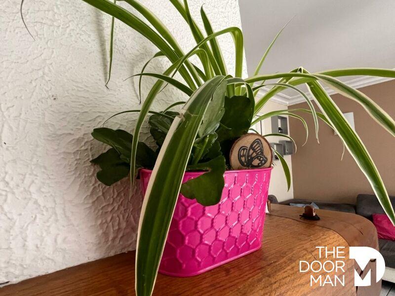 Maison - 78 m² - 4 pièces