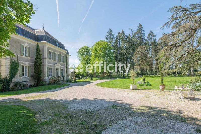 Château - 600 m² - 12 pièces