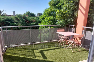 Appartement - 41 m² - 2 pièces