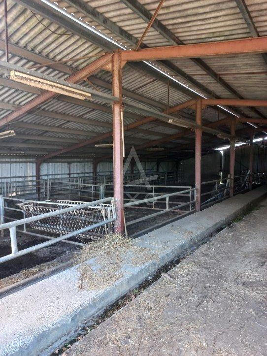 Propriété - 188 m² - 4 pièces