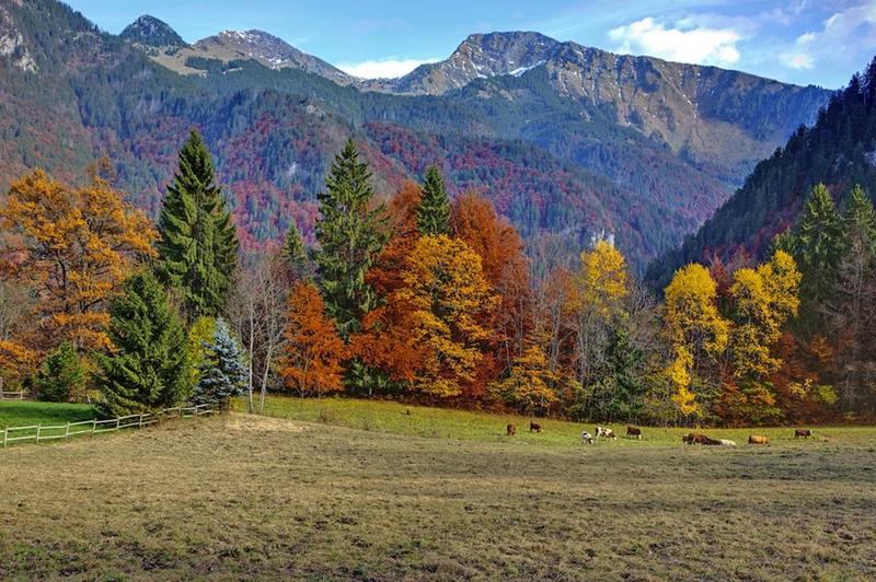 Appartement - 24 m² - 1 pièce