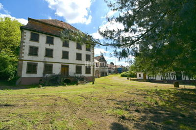 Immeuble - 3 305 m² - 40 pièces