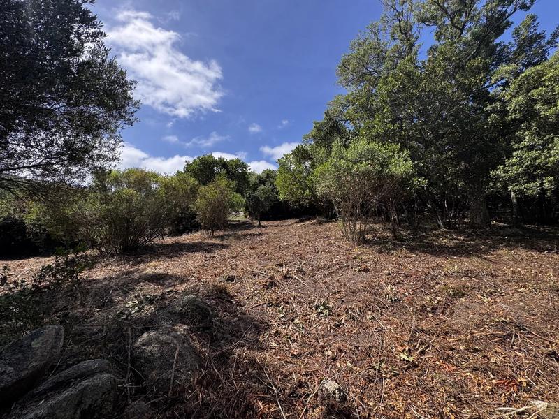 Terrain constructible - 1 490 m²