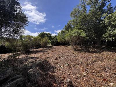 Terrain constructible - 1 490 m²