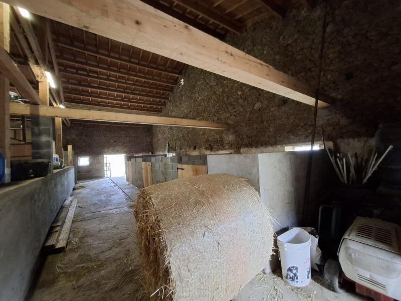 Maison ancienne - 300 m² - 7 pièces