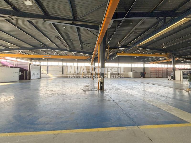Local d'activités - 4 404 m²