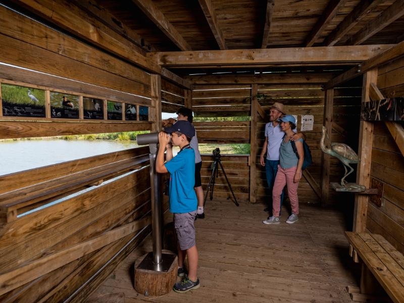Visite guidée de Terres d'Oiseaux