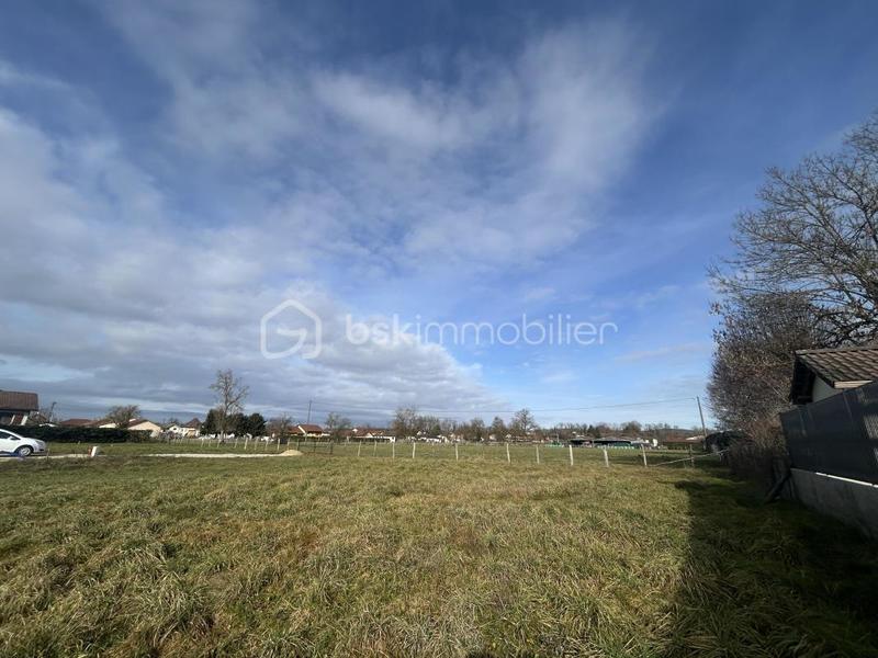 Terrain - 585 m²