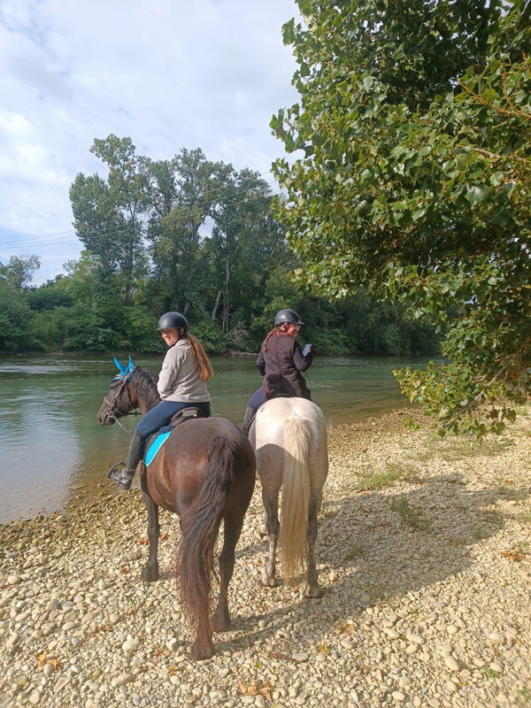 Fonds de commerce - Magasins - 62 459 m²