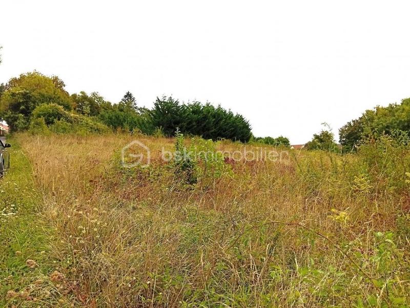 Terrain de loisirs - 2 729 m²