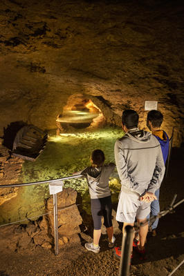 Les Grottes de la Balme
